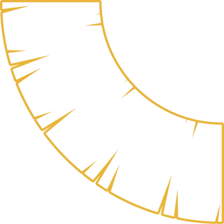 ornamento-secao-qualidades-home